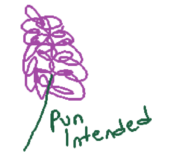 A Lavender Court