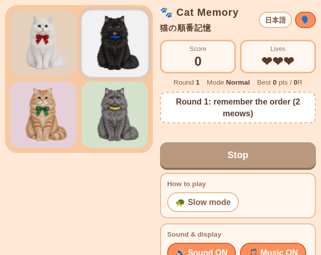 Cat Memory / 猫の順番記憶