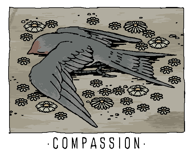 Compassion