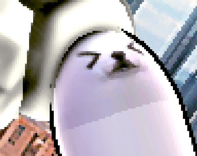 Eggdog Extended