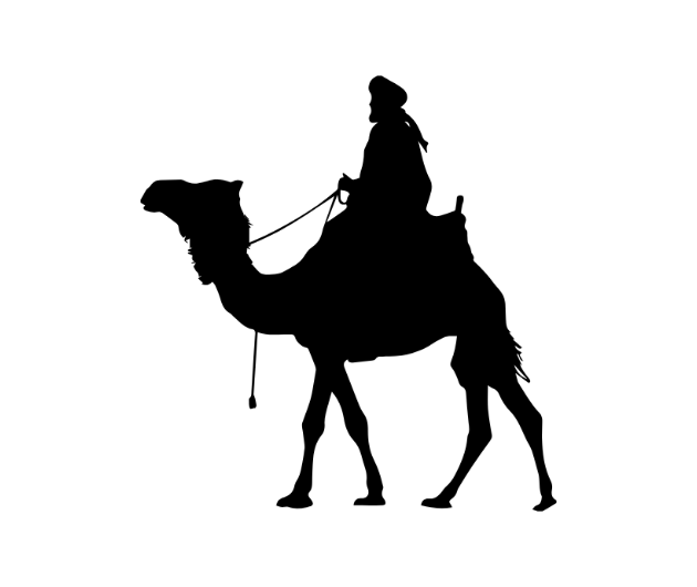 Grand Theft Camel