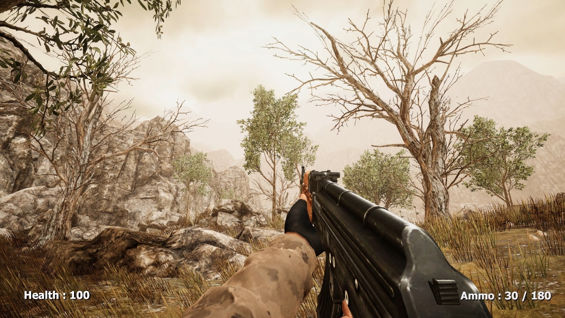 Rogue Sergeant: The Final Operation