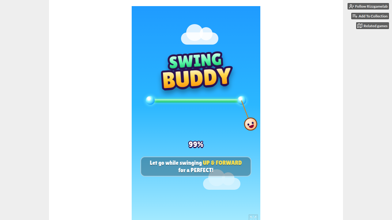 Swing Buddy