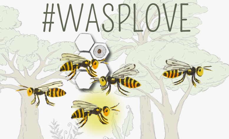 The #wasplove game